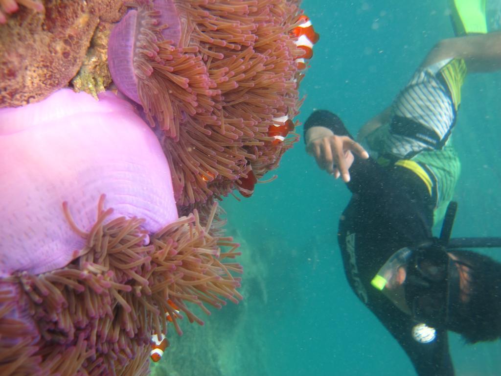 Ombak Dive Resort Perhentian Island Luaran gambar
